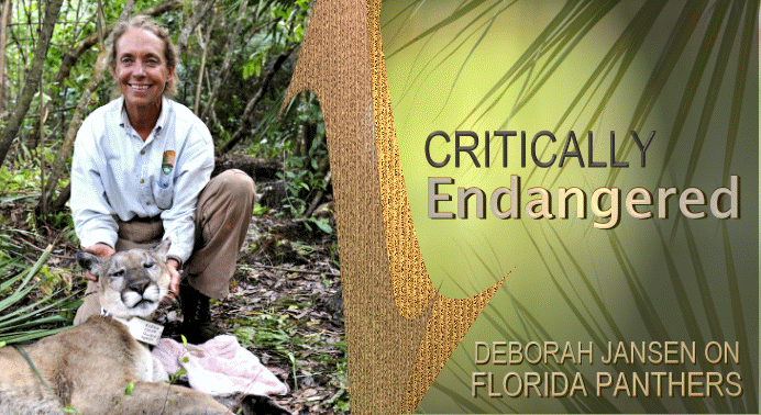 ON AIR: Florida Panther Biologist Deborah Jansen