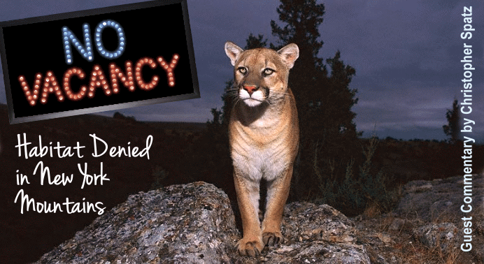 No Room for Lions - Mountain Lion Foundation