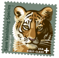 Photo of US save vanishing species tiger stamp.