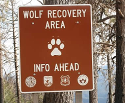 Photo of park sign, text: Wolf Recovery Area, Info Ahead.