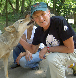 Marc Bekoff kneeling with wolf licking his face.