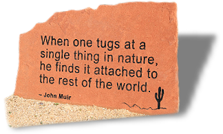 Engraved John Muir Quote, text: When one tugs at a single thing in nature, he finds it attached to the rest of the world.