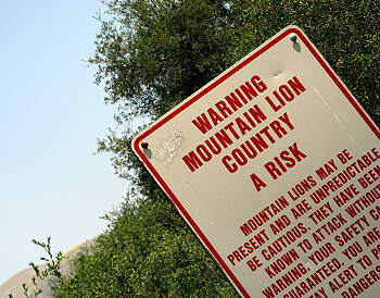 Photo of lion country warning sign.