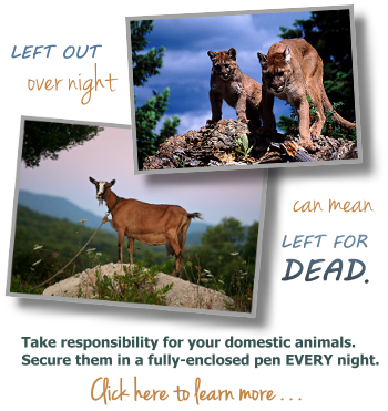 Photo of lions over photo of goat tied to tree. Text: Left out overnight can mean left for dead. Take responsibility for domestic animals and secure them in fully enclosed pens every night. Click here to learn more.