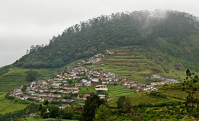 Photo of Ooty, town surrounded by wild habitat.