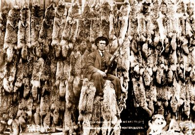 Photo of hunter in front of over a hundred hanging dead canines.
