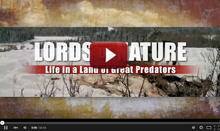 Photo of Lord of Nature video, click here to watch.
