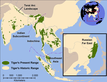 Map of dwindling tiger habitat in Asia.