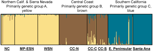  California puma population genetic structure.
