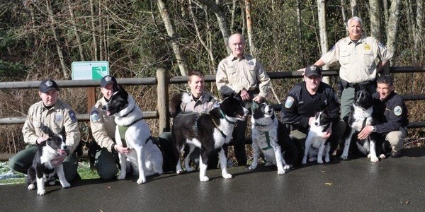 Photo of WDFW officers and 6 karelian bear dogs.