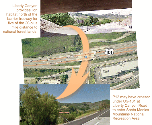 Map of Liberty Canyon underpass showing green open spaces to the North and South.