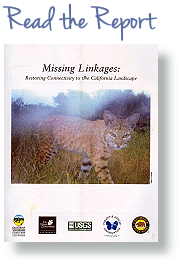 Click here to read the Missing Linkages Report.