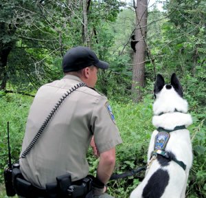 WDFW Officer and KBD watch a bear climb a tree in the distance.