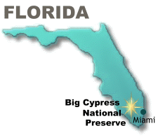Big Cypress National Preserve is 720,000 acres 50 miles west of Miami, and just north of Everglades National Park.