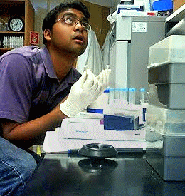 Naidu handling test tube samples in the laboratory.