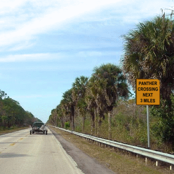 Panther crossing next 3 miles. Sign on Florida highway.