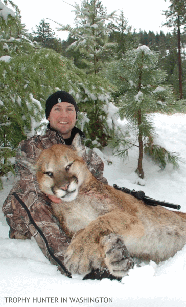 Cougar hunter proudly displays huge trophy cougar in snowy setting.