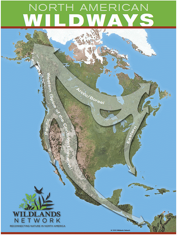 Full size North American Wildways Map.