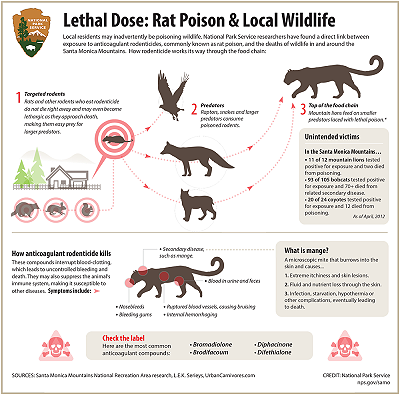 A Lifeline for Threatened and Endangered Species: Governor Newsom Signs Rodenticide Moratorium