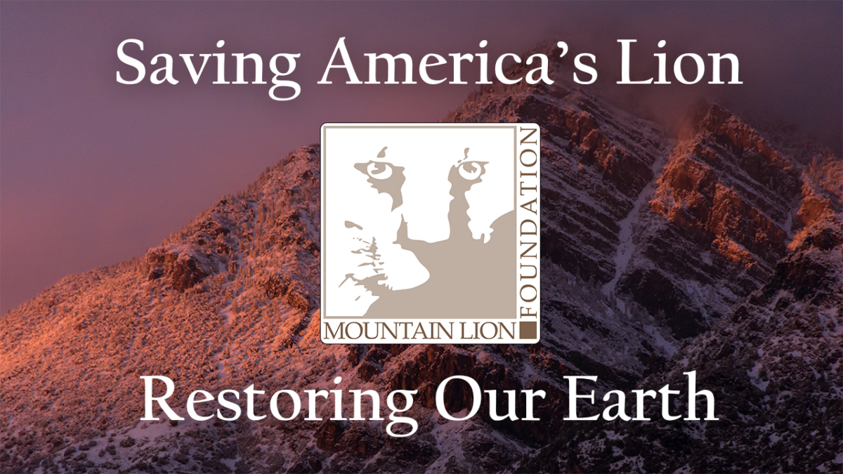Saving America’s Lion – Restoring Our Earth