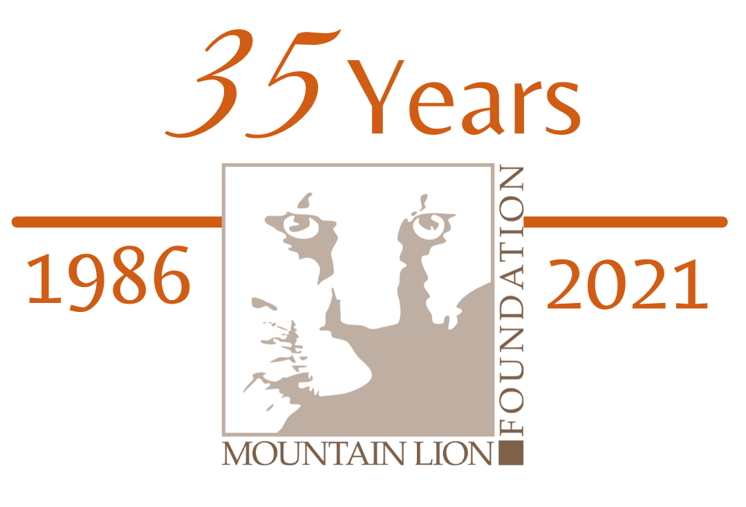 Today We Celebrate 35 Years!
