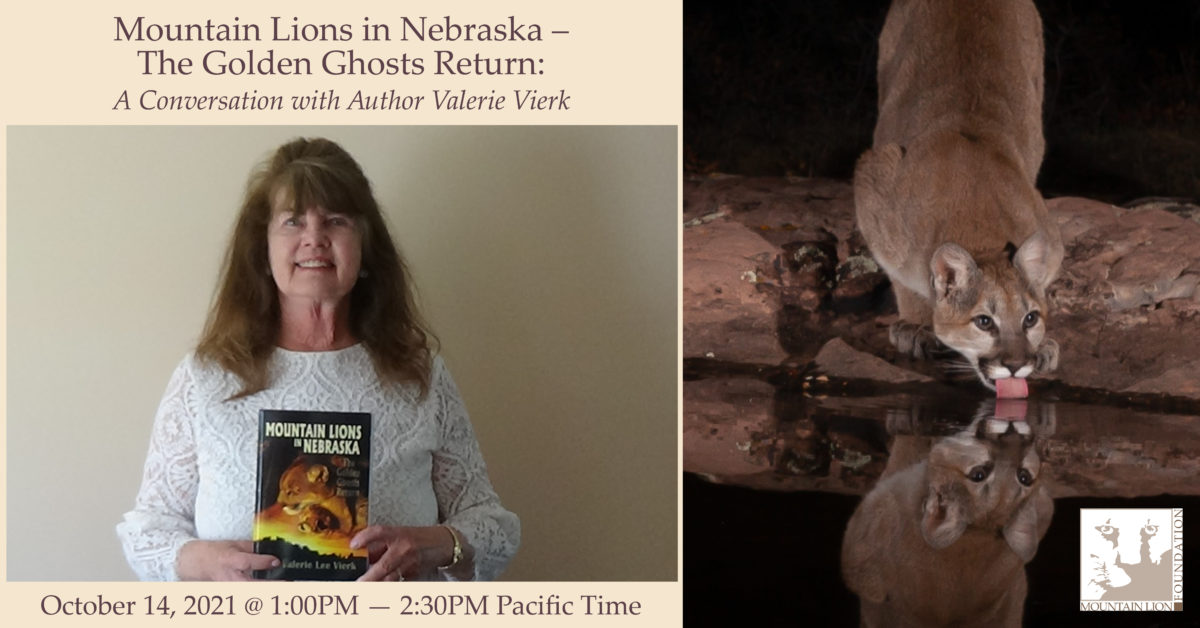 CANCELLED:  Lions in Nebraska – The Golden Ghosts Return: A Conversation with Author Valerie Vierk