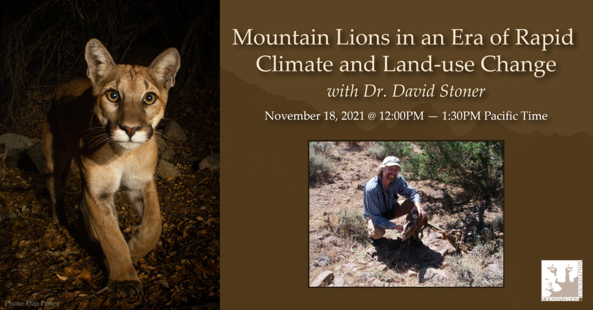 Mountain Lions in an Era of Rapid Climate and Land-use Change