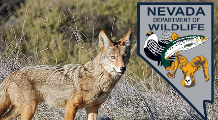 Nevada Department of Wildlife votes 5-4 to not move forward with proposed language banning wildlife-killing contests.