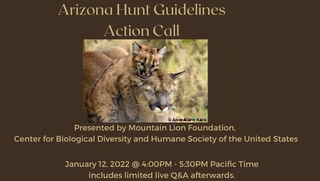 Arizona Hunt Guidelines Action Call
