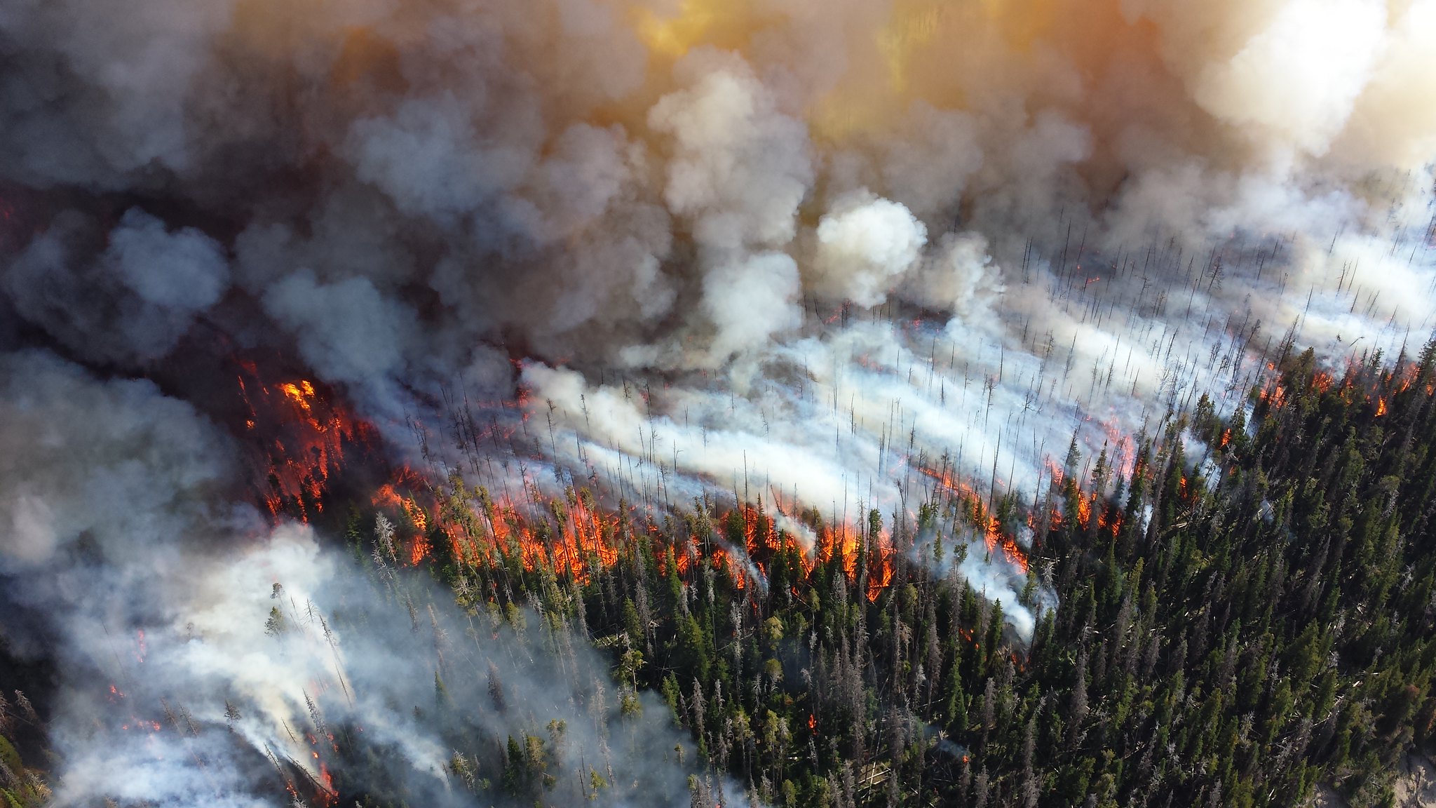 2013 photo of the Alder Fire in Yellowstone National Park. Photo by Mike Lewelling, National Park Service